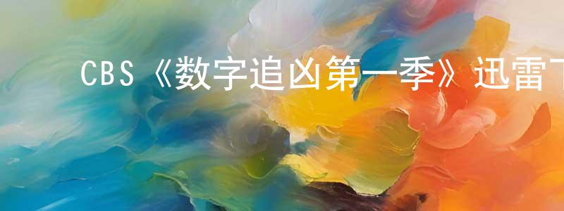 ﻿白永超发布﻿CBS《数字追凶第一季》迅雷下载/在线观看/百度云-犯罪/历史载-美剧天堂